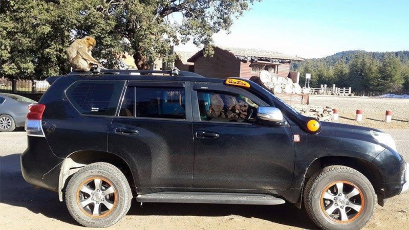 TOYOTA LAND CRUISER 150