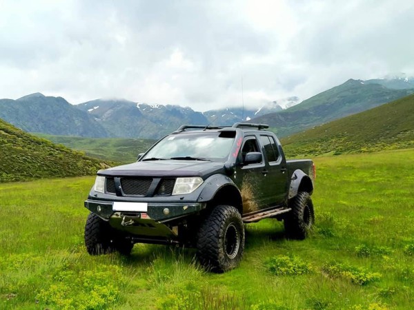 NISSAN NAVARA / NAVARA D-40 / PATHFINDER